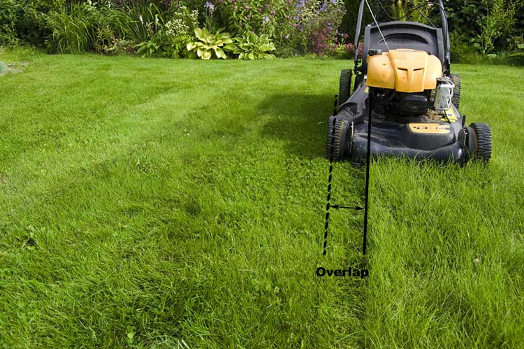 Overlap Lawn mowing