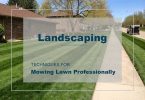 Lawn Mowing Professionally