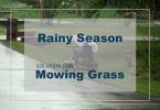 Lawn Mowing Rainy Season